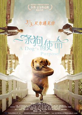 手机看片在线